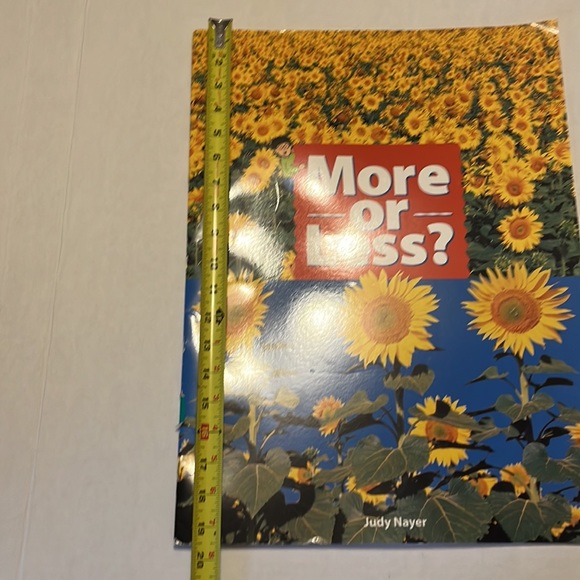 BIG BOOK: More or Less - Picture 4 of 6